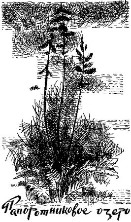 Фёдор Кнорре - Без игры