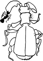 Игорь Акимушкин - И у крокодила есть друзья