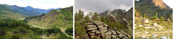 Проходная пешка