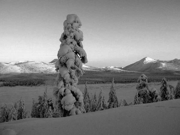 Станислав Брехов - Смертельная печаль. Саби-си