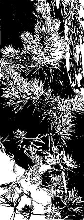 Серая Сова - Рассказы опустевшей хижины