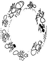 Игорь Акимушкин - И у крокодила есть друзья