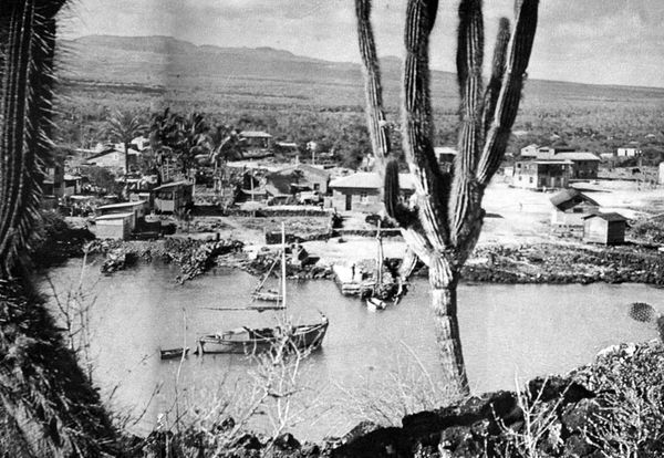Хайнц Зильман - В стране драконов и сказочных птиц