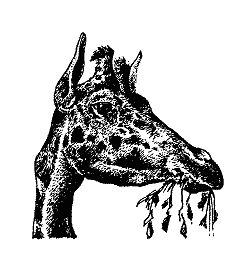 Бернгард Гржимек - Наши братья меньшие