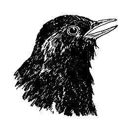 Бернгард Гржимек - Наши братья меньшие