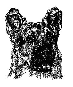 Бернгард Гржимек - Наши братья меньшие