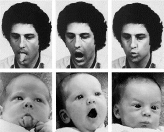 Николай Веракса, Александр Веракса - Познавательное развитие в дошкольном...