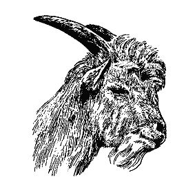 Бернгард Гржимек - Наши братья меньшие