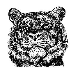 Бернгард Гржимек - Наши братья меньшие