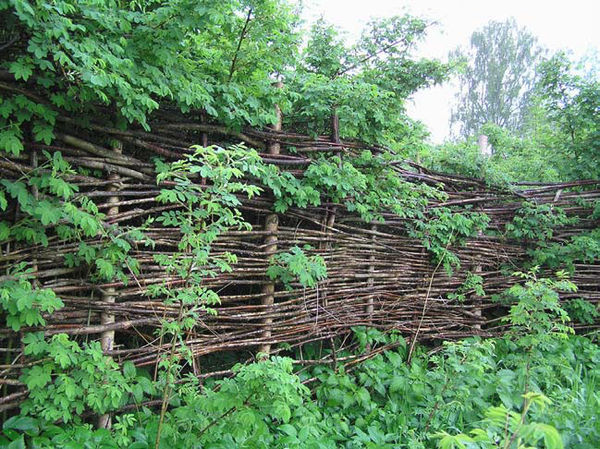 Андрей Кашкаров - Справочник настоящего мужчины