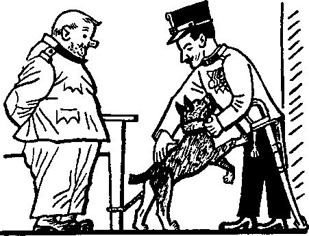 Йозеф Лада - Картинки похождений бравого солдата Швейка