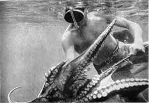 Игорь Акимушкин - Приматы моря