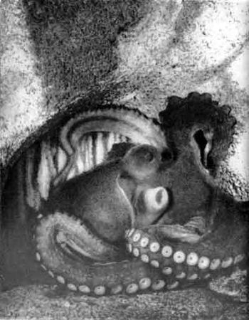 Игорь Акимушкин - Приматы моря