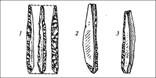 Думитру Берчу - Даки. Древний народ Карпат и Дуная