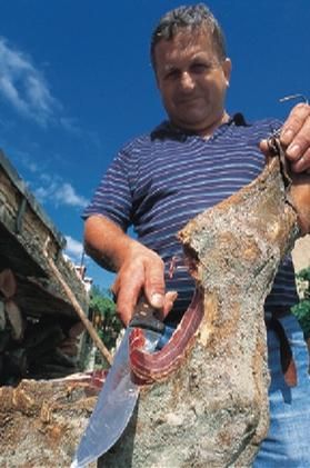 Бертольд Шварц, Александр Сабо - Хорватия. Истрия и Кварнер. Путеводитель