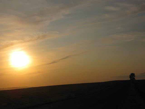 Валентина Сирота - Мы на земле всего лишь гости... (сборник)