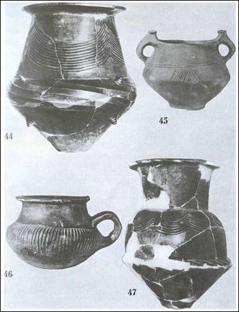 Думитру Берчу - Даки. Древний народ Карпат и Дуная