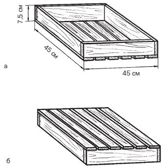 Галина Серикова - Всё о семенах овощных культур