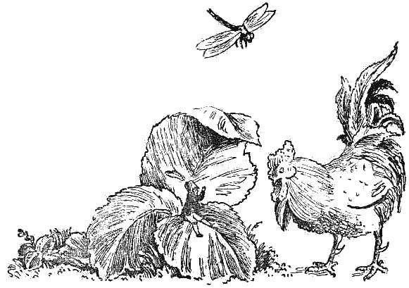 Корней Чуковский - Стихи и сказки