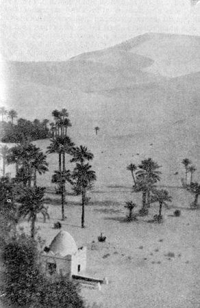 Клаус Полькен - В плену Сахары