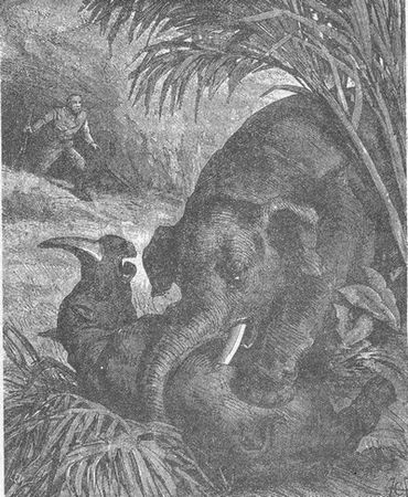 Луи Жаколио - Собрание сочинений. В 4-х т. Том 1. В дебрях Индии