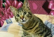 Субстанция времени