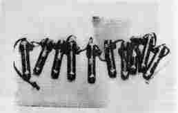 Валерий Момот - Рожденные во тьме