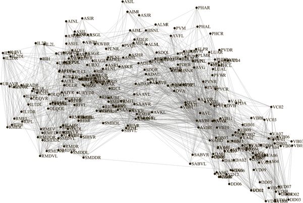Себастьян Сеунг - Коннектом. Как мозг делает нас тем, что мы есть
