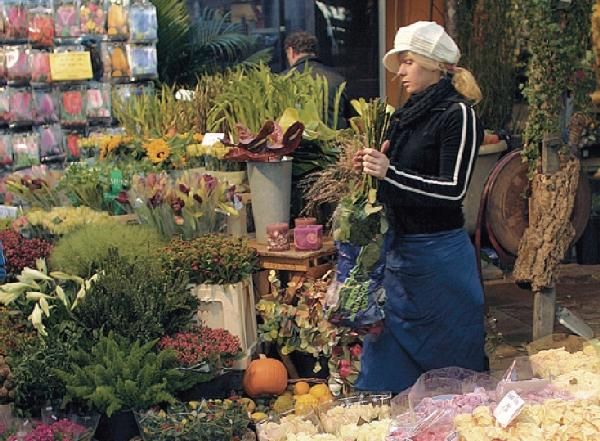Бертольд Шварц, Ингола Ламмерс и др. - Амстердам. Путеводитель