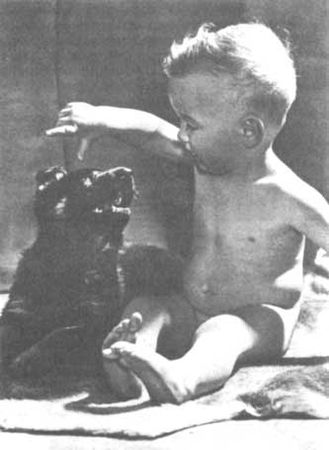 Бернгард Гржимек - Животные рядом с нами