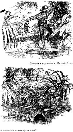 Томас Рид - Собрание сочинений, том 2. Оцеола, вождь семинолов. Морской волчонок