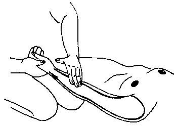 Элиза Танака - Массаж гейши. Изысканная романтика секса