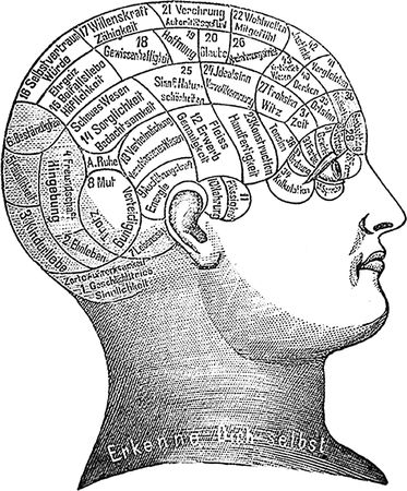 Себастьян Сеунг - Коннектом. Как мозг делает нас тем, что мы есть