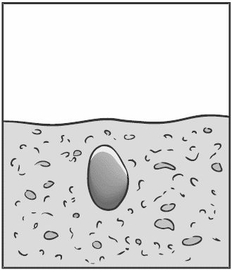 Алексей Алнашев - Древо жизни. Том 1