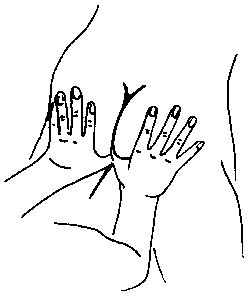 Элиза Танака - Массаж гейши. Изысканная романтика секса