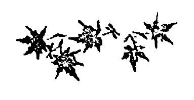 Григорий Чхартишвили, Мицуёси Нумано и др. - ОН. Новая японская проза