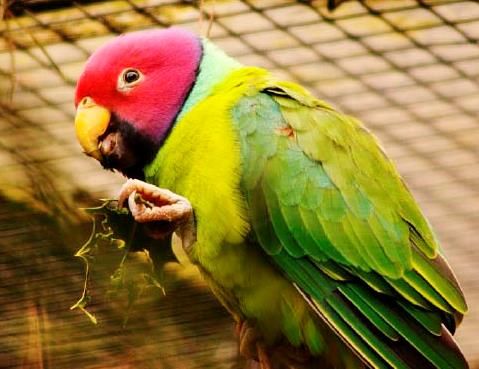 Валентина Ива - Субстанция времени