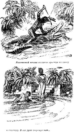 Томас Рид - Собрание сочинений, том 2. Оцеола, вождь семинолов. Морской волчонок