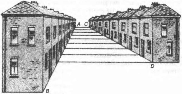 Дэвид Майерс - Интуиция