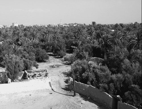 Андрей Скляров - Сирийские перекрестки цивилизации