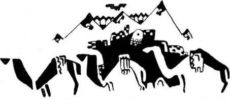 Лариса Рейснер - Афганистан