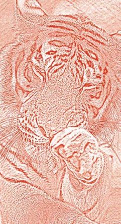 Михаил Кречмар - Полосатая кошка, пятнистая кошка