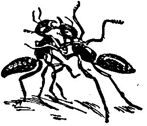 Владимир Обручев - Плутония (Художник Г. Никольский)