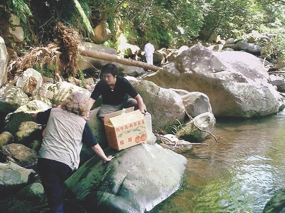 Андрей Кузин - IT-storii. Записки айтишника