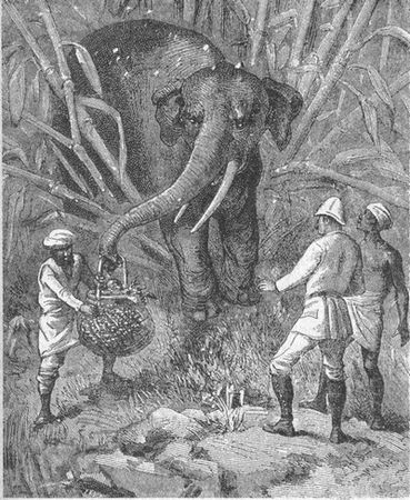 Луи Жаколио - Собрание сочинений. В 4-х т. Том 1. В дебрях Индии