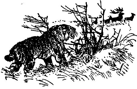 Владимир Обручев - Плутония (Художник Г. Никольский)