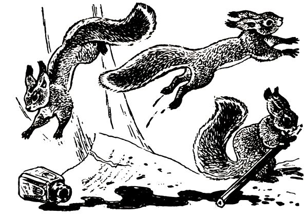 Виктор Балашов - Живи, ирбис!