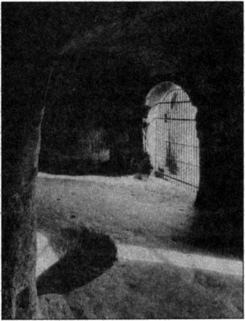 Андрей Васильченко - Стоунхендж Третьего рейха