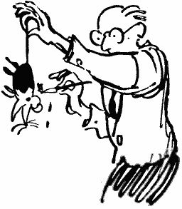 Илья Ильф, Евгений Петров - Собрание сочинений. Том 5. Рассказы, очерки, фельетоны