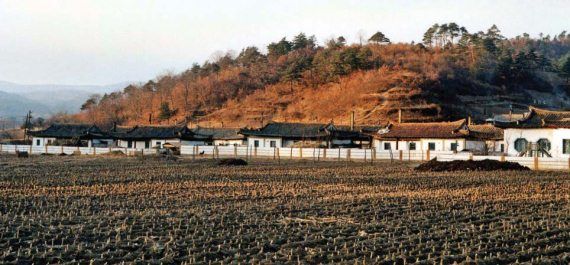 Михаил Кречмар - Полосатая кошка, пятнистая кошка